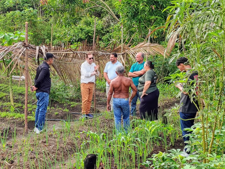 Crescimento da Produção de Mel em Rio Preto da Eva é Impulsionado por Emenda Parlamentar