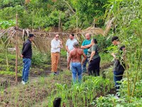 Crescimento da Produção de Mel em Rio Preto da Eva é Impulsionado por Emenda Parlamentar